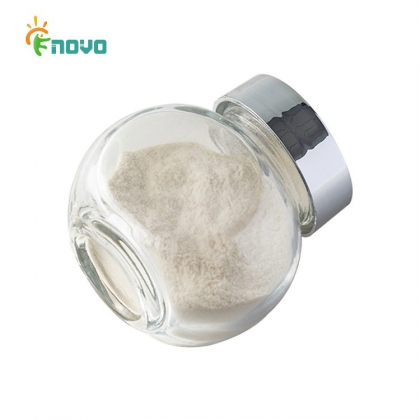 Chitosan Suppliers