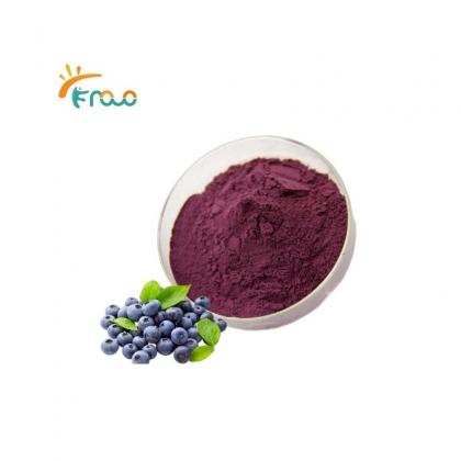 Blueberry Extract Powder Suppliers