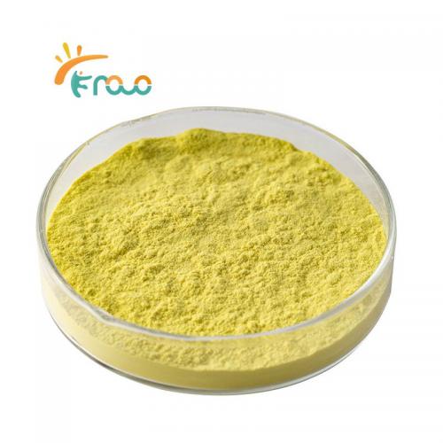 100% Organic Ginger Powder Best Price Ginger Extract Powder for Food & Beverage Suppliers