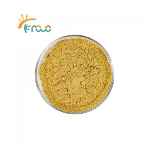 Organic Barberry Root Extract Powder