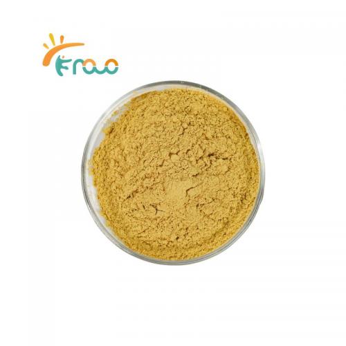 Organic Barberry Root Extract Powder Suppliers