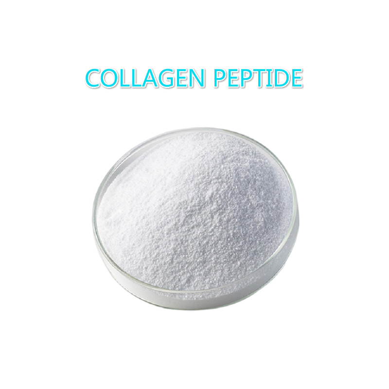 Cosmetic Raw Material--Collagen Peptide
