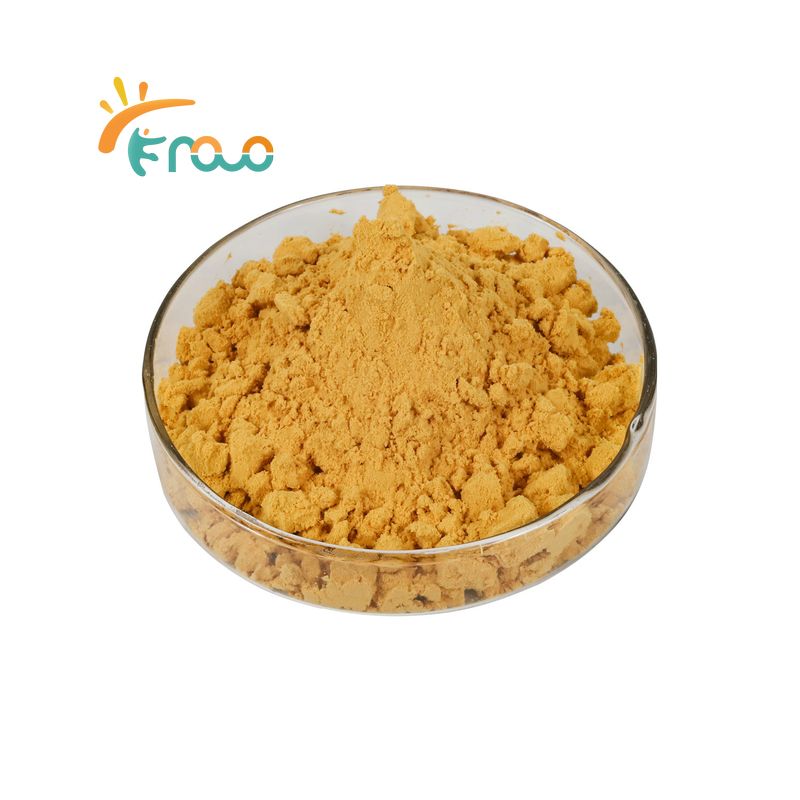 Discovering the Health Benefits of Ginkgo Biloba Extract