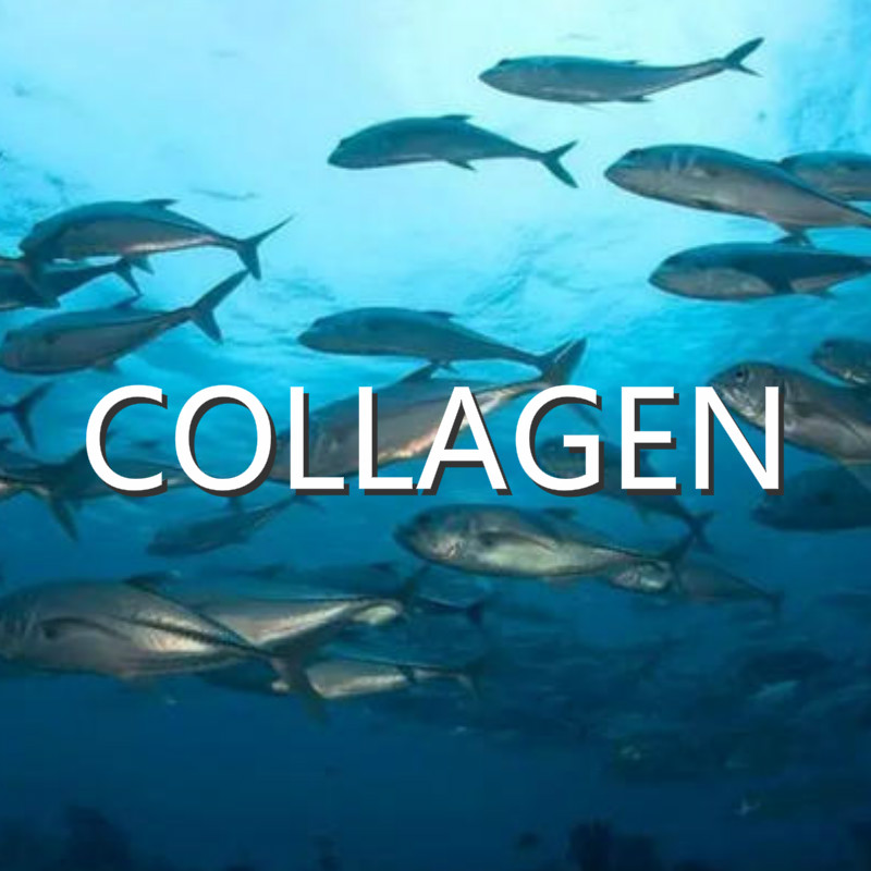 Comparison of Collagen Ingredients and Odor Removal Methods