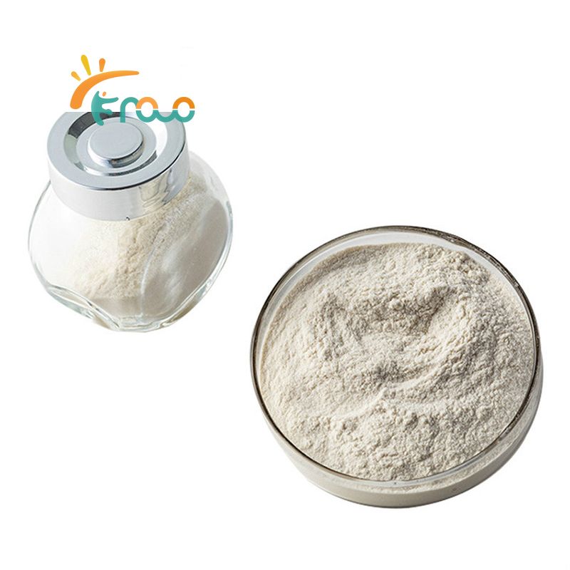 Soy protein powder market overview