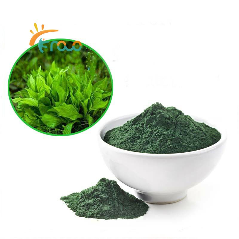 What Are the Benefits of Chlorella Powder?