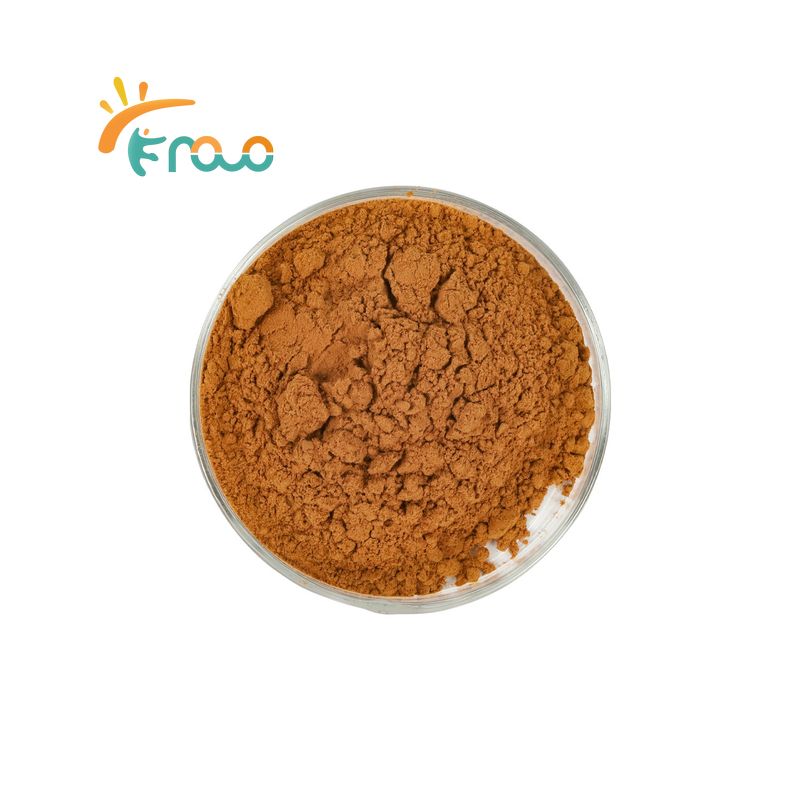 Uses and benefits of Ginkgo biloba extract