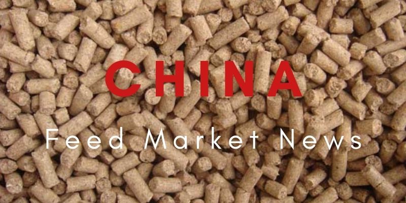 China Feed Maket News--Export Market Analysis of Lysine in September 2021